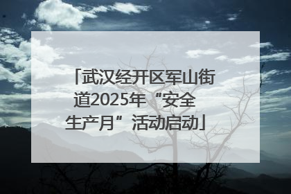 武汉经开区军山街道2025年“安全生产月”活动启动