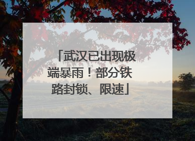 武汉已出现极端暴雨！部分铁路封锁、限速