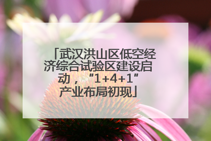 武汉洪山区低空经济综合试验区建设启动，“1+4+1”产业布局初现