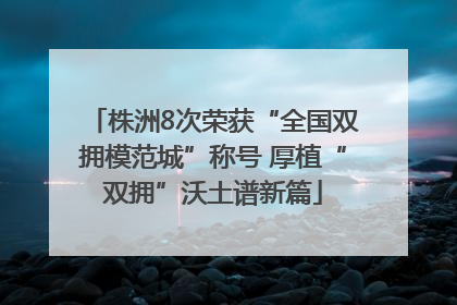 株洲8次荣获“全国双拥模范城”称号 厚植“双拥”沃土谱新篇