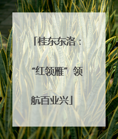 桂东东洛：“红领雁”领航百业兴