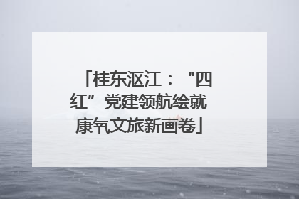 桂东沤江：“四红”党建领航绘就康氧文旅新画卷