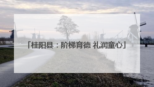 桂阳县：阶梯育德 礼润童心