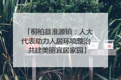 桐柏县淮源镇：人大代表助力人居环境整治 共建美丽宜居家园