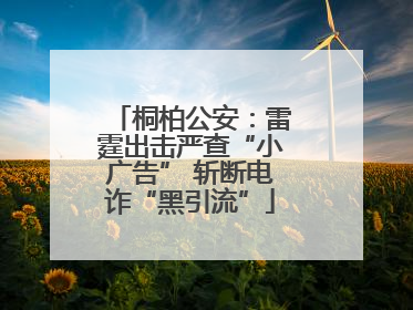 桐柏公安：雷霆出击严查“小广告” 斩断电诈“黑引流”