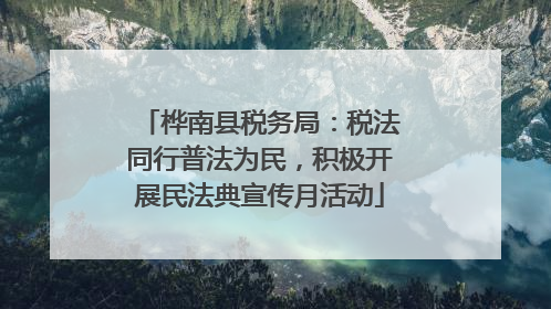 桦南县税务局：税法同行普法为民，积极开展民法典宣传月活动