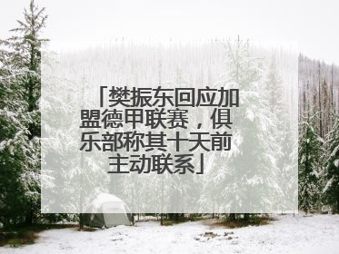 樊振东回应加盟德甲联赛，俱乐部称其十天前主动联系