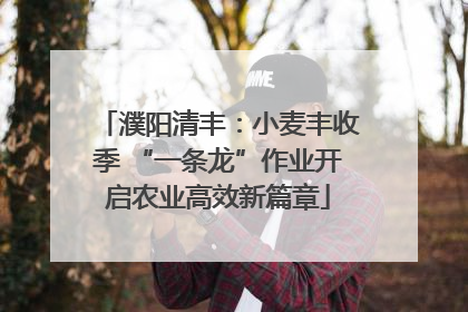 濮阳清丰：小麦丰收季 “一条龙”作业开启农业高效新篇章