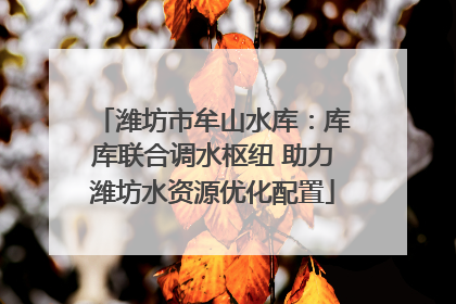 潍坊市牟山水库：库库联合调水枢纽 助力潍坊水资源优化配置