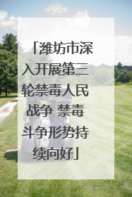 潍坊市深入开展第三轮禁毒人民战争 禁毒斗争形势持续向好