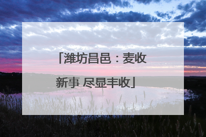 潍坊昌邑：麦收新事 尽显丰收