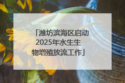 潍坊滨海区启动2025年水生生物增殖放流工作