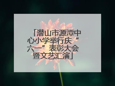 潜山市源潭中心小学举行庆“六一”表彰大会暨文艺汇演