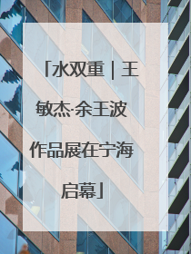 水双重｜王敏杰·余王波作品展在宁海启幕
