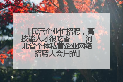 民营企业忙招聘，高技能人才很吃香——河北省个体私营企业网络招聘大会扫描