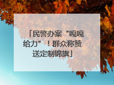 民警办案“嘎嘎给力”！群众称赞送定制锦旗