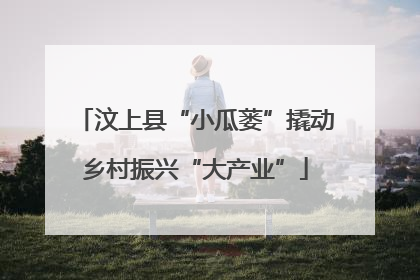 汶上县“小瓜蒌”撬动乡村振兴“大产业”