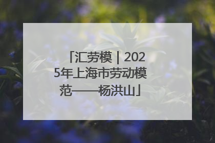 汇劳模｜2025年上海市劳动模范——杨洪山