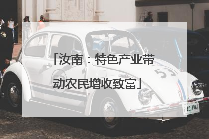 汝南：特色产业带动农民增收致富