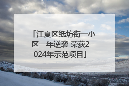 江夏区纸坊街一小区一年逆袭 荣获2024年示范项目