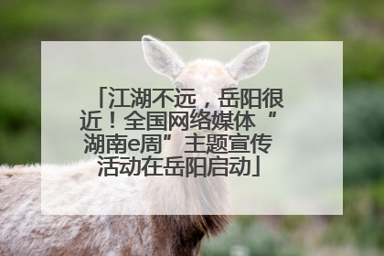 江湖不远，岳阳很近！全国网络媒体“湖南e周”主题宣传活动在岳阳启动