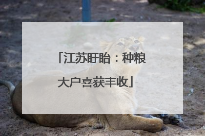 江苏盱眙：种粮大户喜获丰收