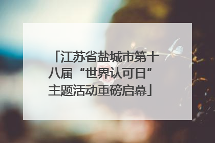 江苏省盐城市第十八届“世界认可日”主题活动重磅启幕