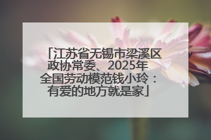 江苏省无锡市梁溪区政协常委、2025年全国劳动模范钱小玲：有爱的地方就是家