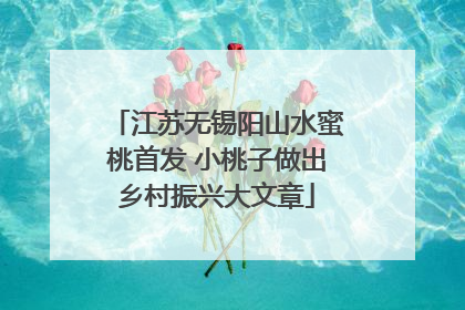 江苏无锡阳山水蜜桃首发 小桃子做出乡村振兴大文章