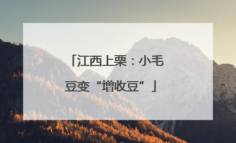 江西上栗：小毛豆变“增收豆”