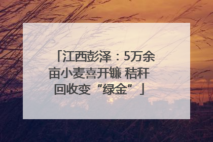 江西彭泽：5万余亩小麦喜开镰 秸秆回收变“绿金”