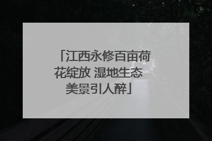 江西永修百亩荷花绽放 湿地生态美景引人醉
