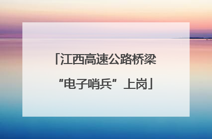江西高速公路桥梁“电子哨兵”上岗