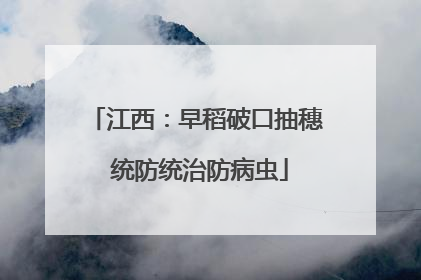 江西：早稻破口抽穗 统防统治防病虫