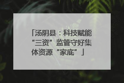 汤阴县：科技赋能“三资”监管守好集体资源“家底”