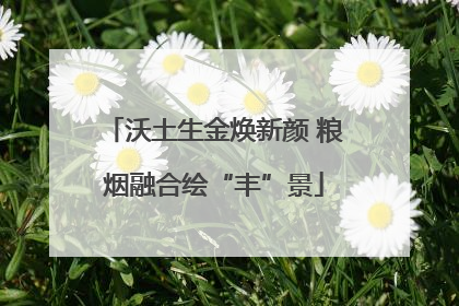沃土生金焕新颜 粮烟融合绘“丰”景