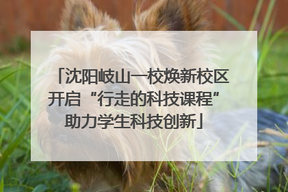 沈阳岐山一校焕新校区开启“行走的科技课程”助力学生科技创新