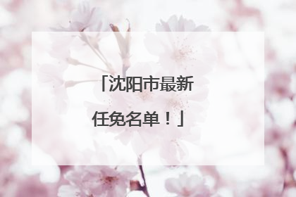 沈阳市最新任免名单！