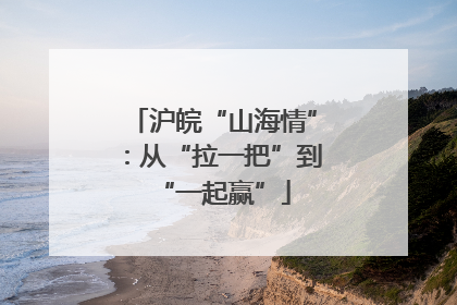 沪皖“山海情”：从“拉一把”到“一起赢”