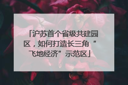 沪苏首个省级共建园区，如何打造长三角“飞地经济”示范区