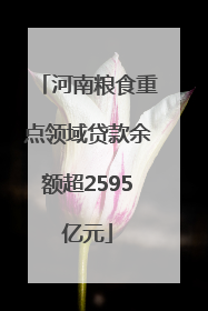 河南粮食重点领域贷款余额超2595亿元