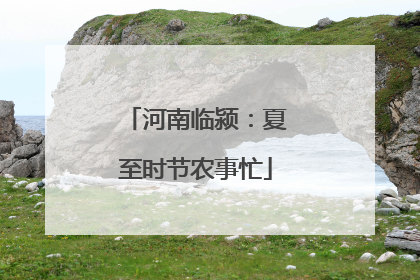 河南临颍：夏至时节农事忙