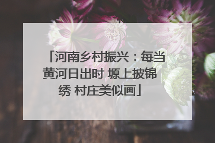 河南乡村振兴：每当黄河日出时 塬上披锦绣 村庄美似画