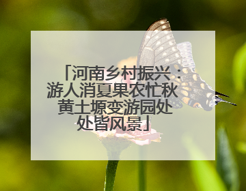 河南乡村振兴：游人消夏果农忙秋 黄土塬变游园处处皆风景