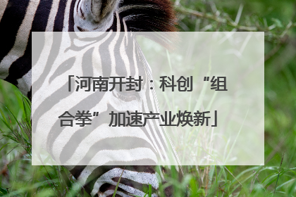 河南开封：科创“组合拳”加速产业焕新
