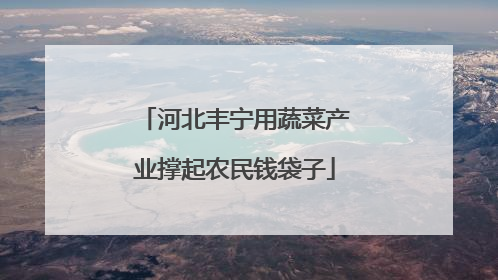 河北丰宁用蔬菜产业撑起农民钱袋子