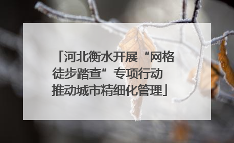 河北衡水开展“网格徒步踏查”专项行动 推动城市精细化管理