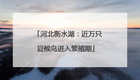 河北衡水湖：近万只夏候鸟进入繁殖期