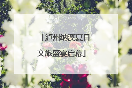 泸州纳溪夏日文旅盛宴启幕