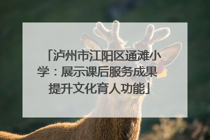 泸州市江阳区通滩小学：展示课后服务成果 提升文化育人功能